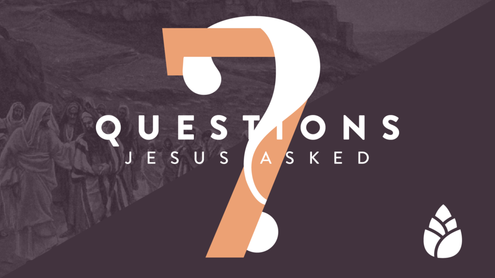 7 Questions Jesus Asked